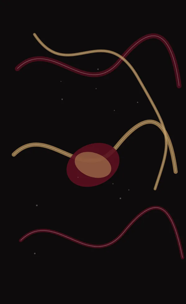 Plate 09, Ribbon Knot: gold and red ribbons around a wax bead